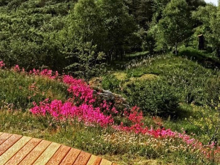Archisio - Simone Ottonello - Progetto Giardino di montagna