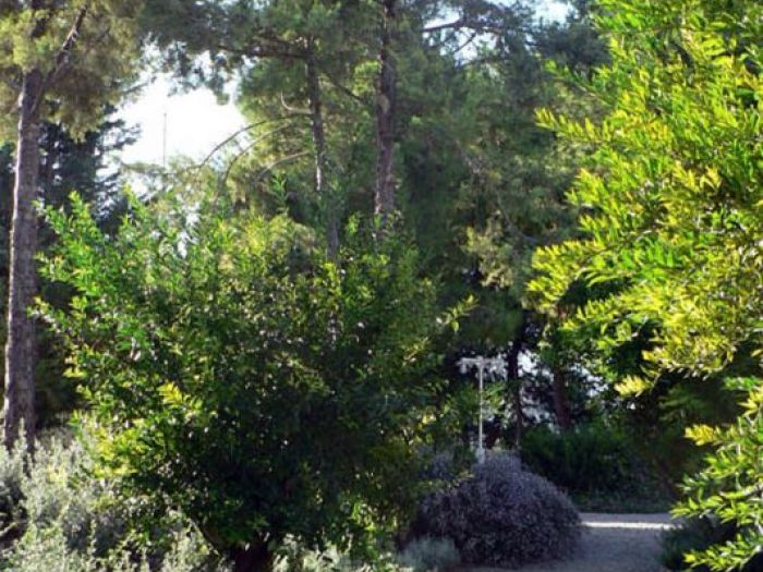 Archisio - Tindara Crisafulli - Progetto Oltre la cornice