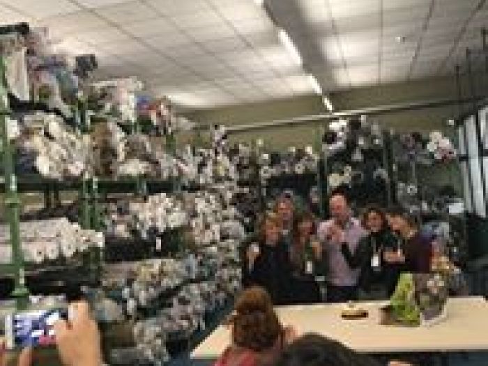 Archisio - Interior Stylist - Progetto Progetto meroendmore