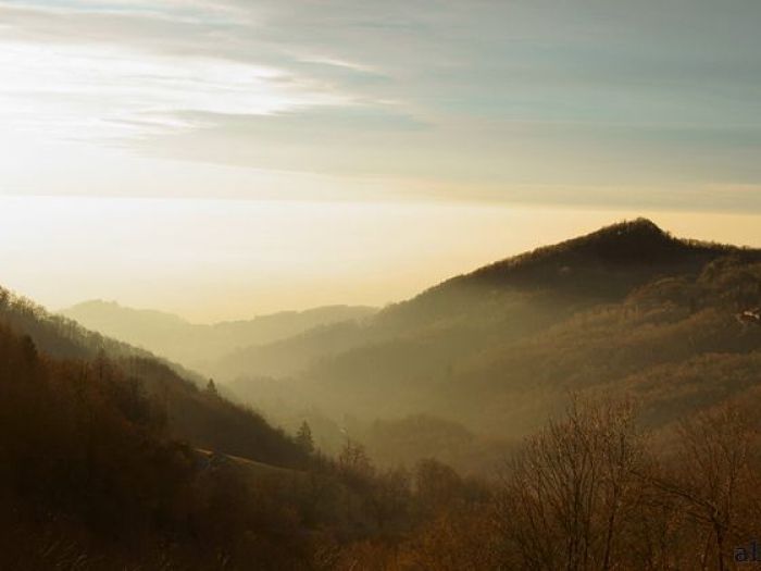 Archisio - Ivo Magnabosco - Progetto Ristorante fb