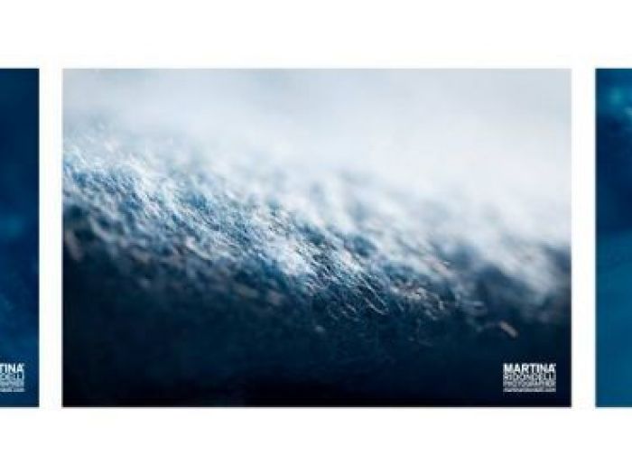 Archisio - Martina Ridondelli - Progetto Dissolversi nel blu