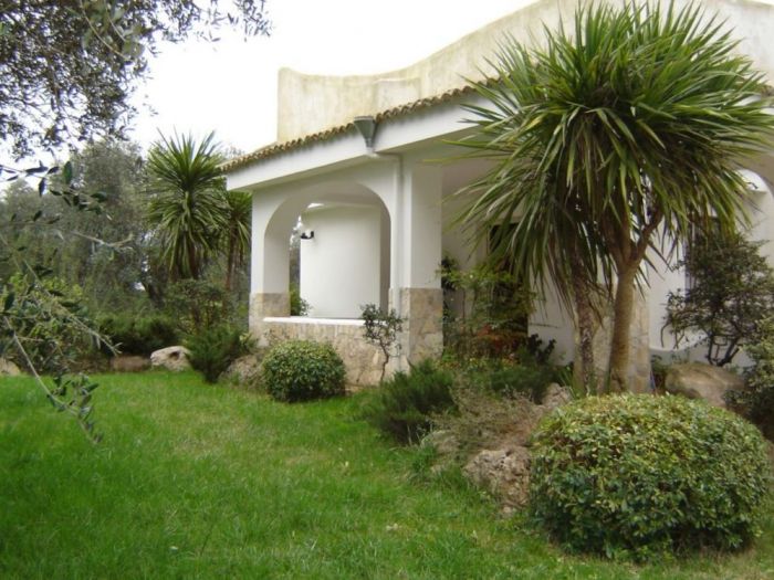 Archisio - Cosimo Mai - Progetto Progetti