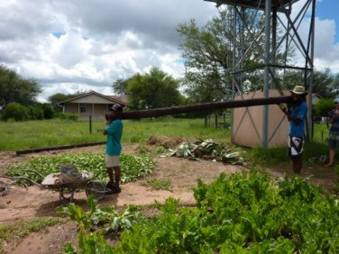 Archisio - Elisabetta Fermani - Progetto Un frutteto in permacultura