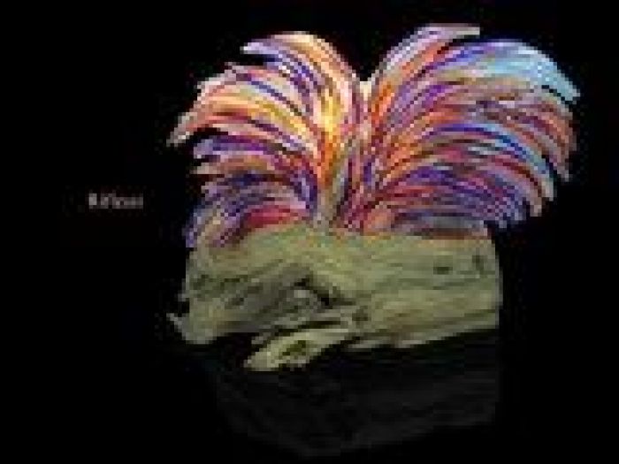 Archisio - Sandro Moro Vetro Design - Progetto Sandro moro vetro design