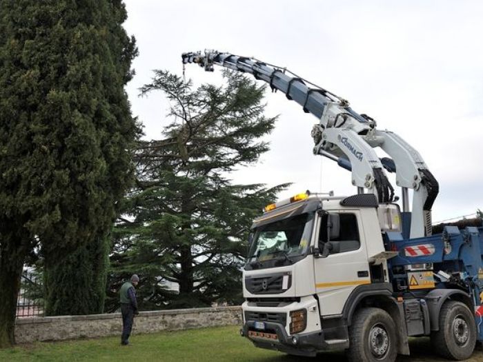 Archisio - Il Dottore Del Verde Di Bruno Barnaba - Progetto Abbattimento cedro monumento sisma 1976