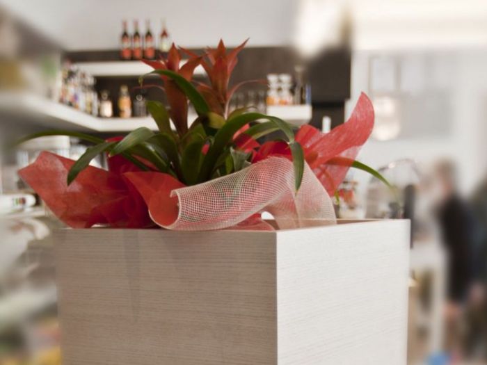 Archisio - Studio Alma - Progetto Bar turri