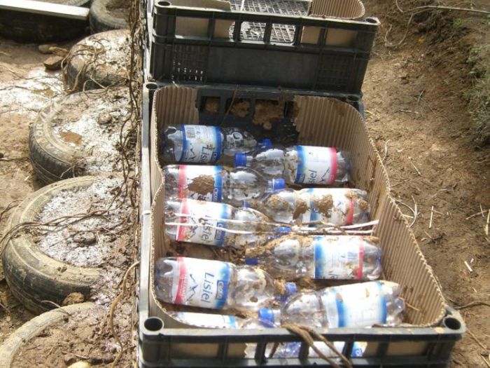 Archisio - Luxurysign - Progetto Charity