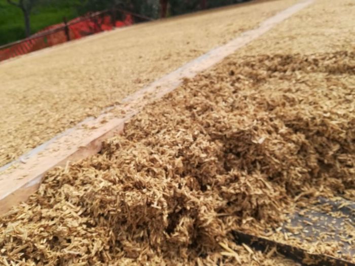 Archisio - Graziella Caria - Progetto Consulente bioedilizia