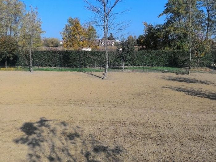 Archisio - Claudio Raiteri Verde Giardino - Progetto Irrigazione rigenerazione pratorigenerazione pratotree climbingisolamento solai