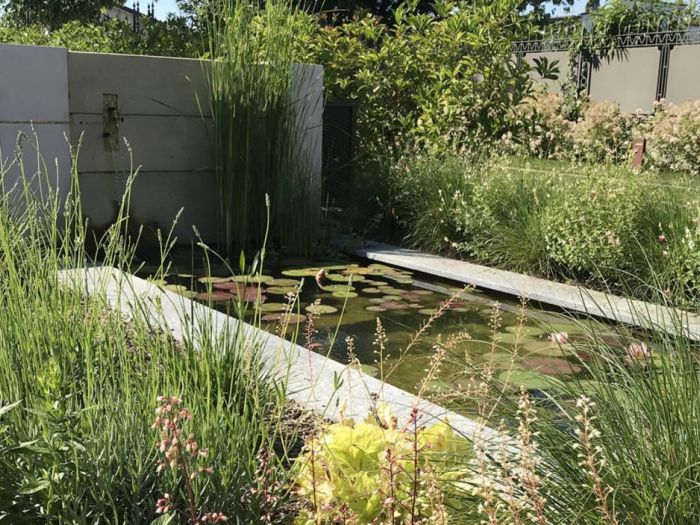 Archisio - Forme Dacqua - Progetto Cascata dacqua con laghetto artificiale villa privata