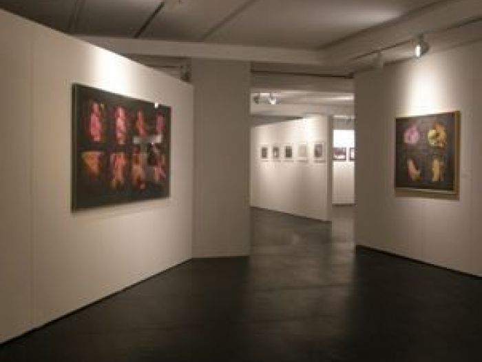 Archisio - Architetti Cipolla - Progetto Fondazione dino zoli