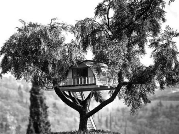 Archisio - Casalberi - Progetto Suite sugli alberi