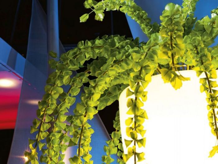 Archisio - Jupiter International srl - Progetto Set arrangement - composizioni floreali