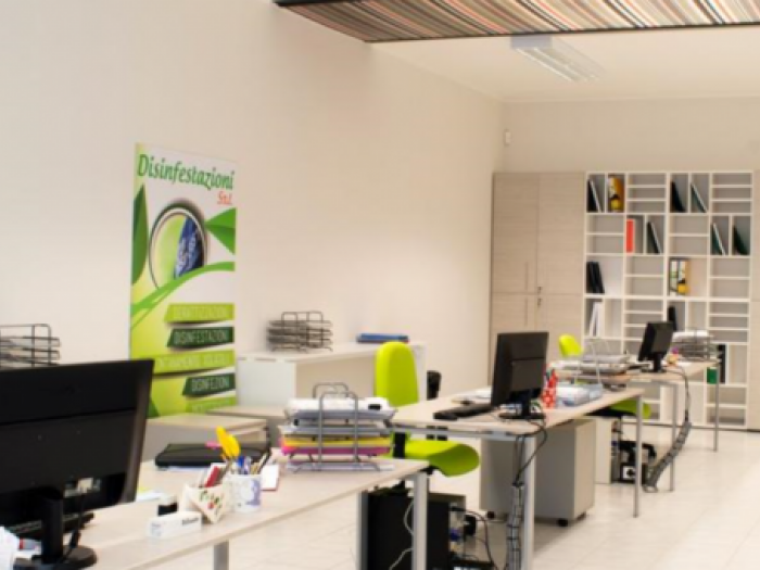 Archisio - Disinfestazioni srl - Progetto Disinfestazione insetti striscianti