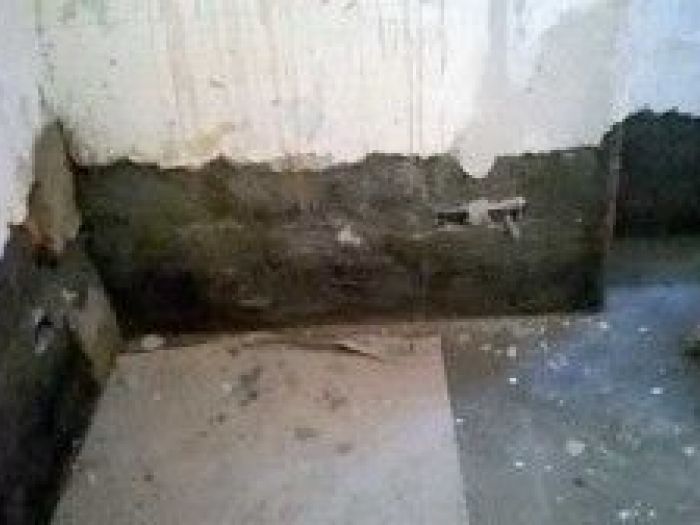 Archisio - Bedil Impresa Edile - Progetto Ristrutturazioni appartamenti ville negozi e condomini