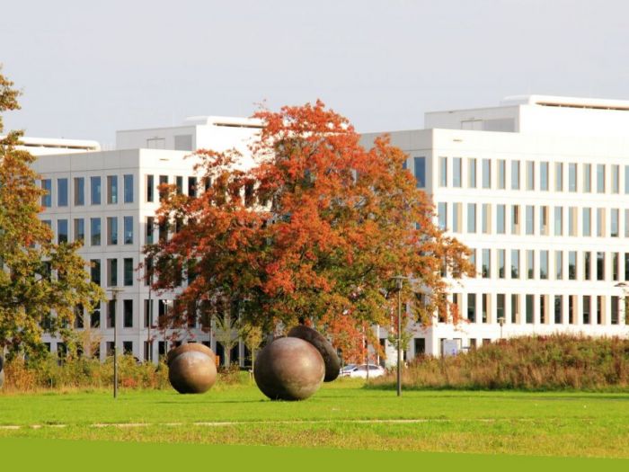 Archisio - Luca Righetto - Progetto Olanda 2017