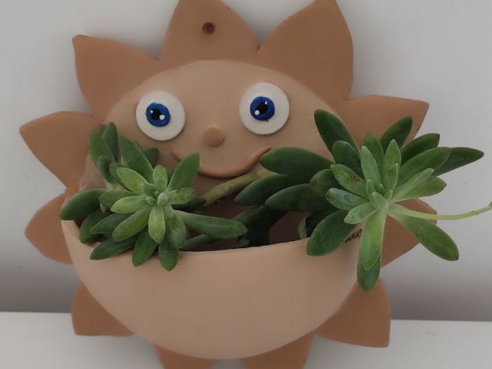 Archisio - Frisart - Progetto Vaso sole