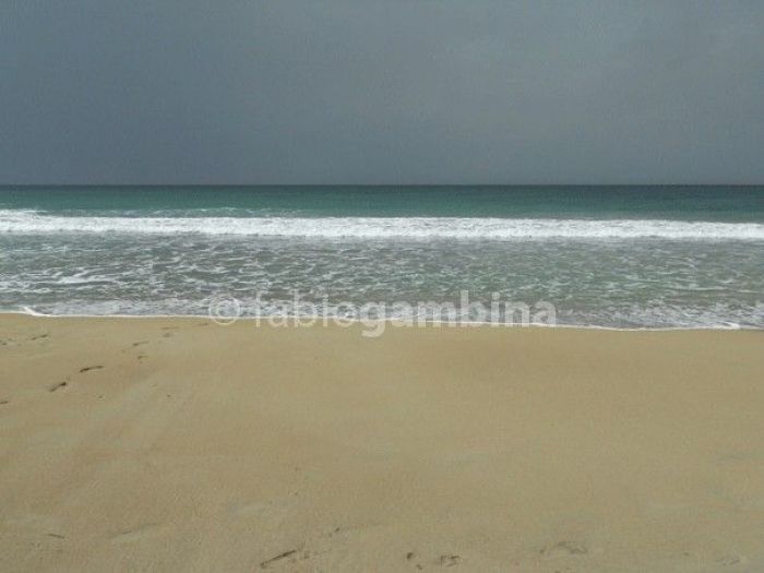 Archisio - Fabio Gambina - Progetto Landscape