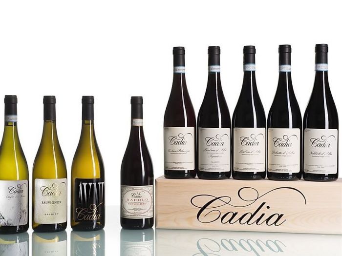 Archisio - Stefano Carniccio - Progetto Wine