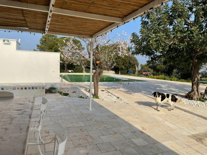 Archisio - Vito Nacci - Progetto Ristrutturazione casale depoca