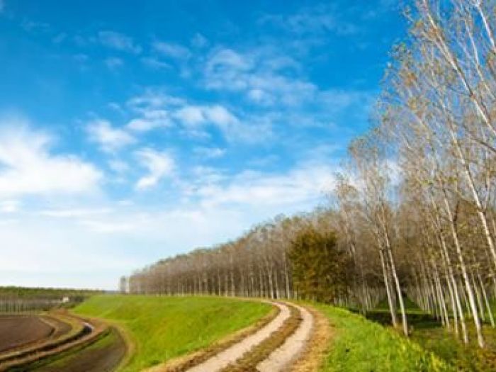 Archisio - Costetti E Dazzi Architetti - Progetto Riserva del fiume in secca