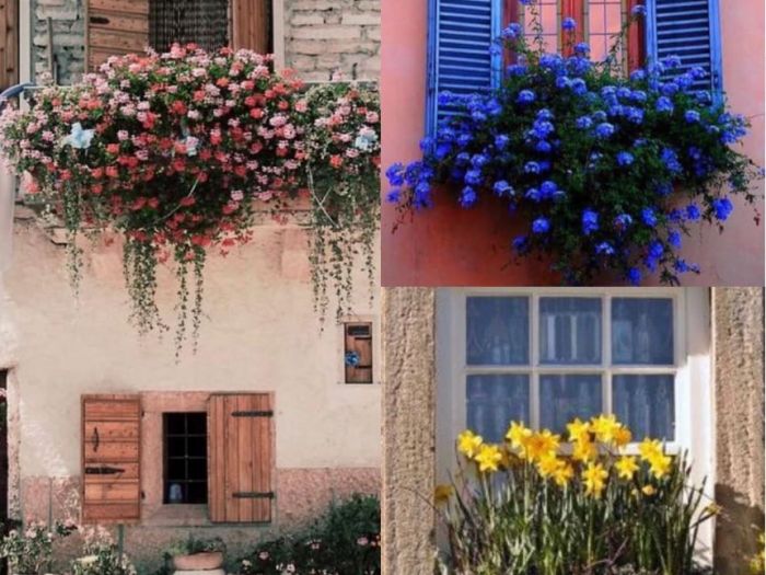 Archisio - Rosy Gioia - Progetto Decorazione interni ed esterni