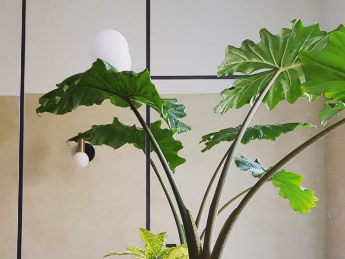 Archisio - Studio Ics - Progetto Casa privata