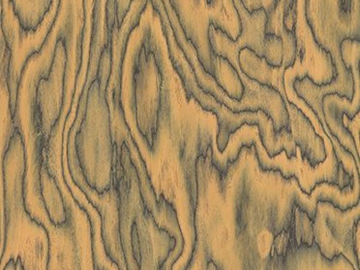 Archisio - Alpi spa - Progetto Collezioni allalpi