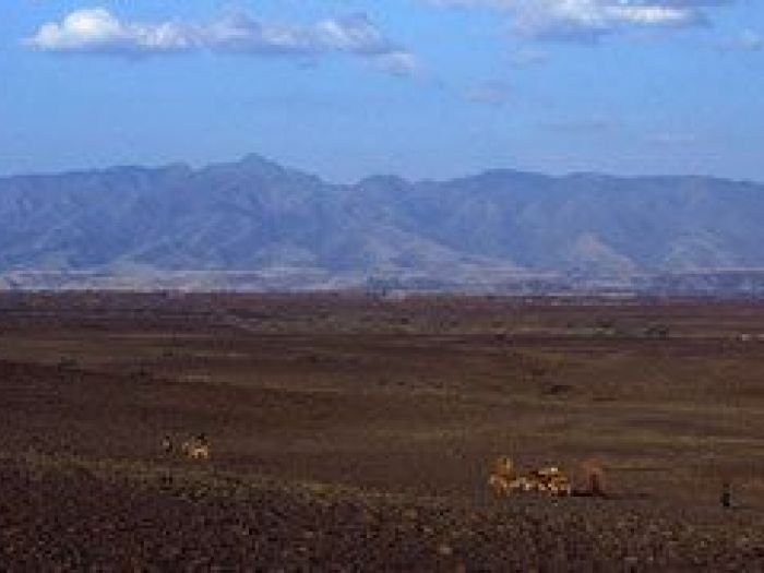 Archisio - Nico Marziali - Progetto Lucca e africa