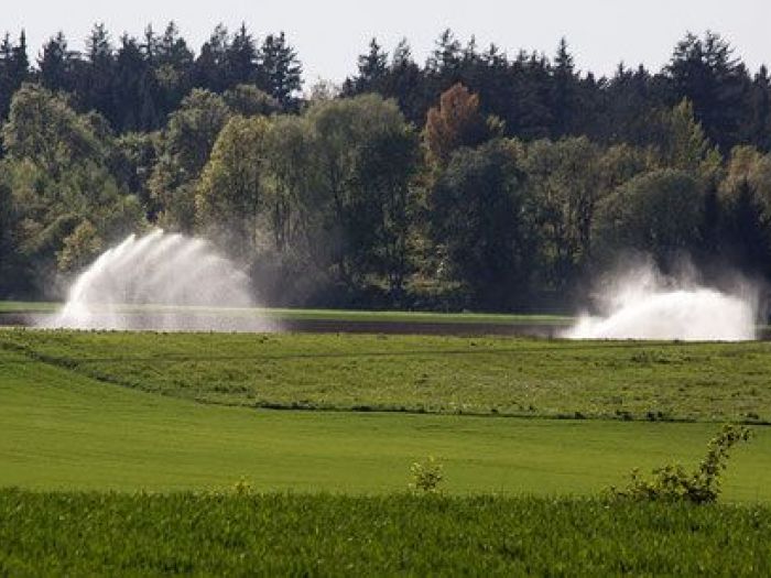 Archisio - La Termoidraulica - Raso Emilio E Figlio - Progetto Irrigazione