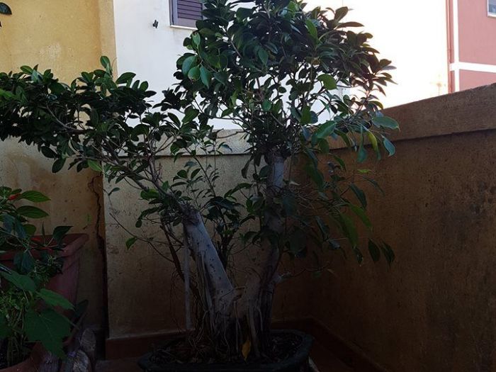 Archisio - Studio Tecnico Darchitettura Arcut - Progetto Ristrutturazione studio tecnico