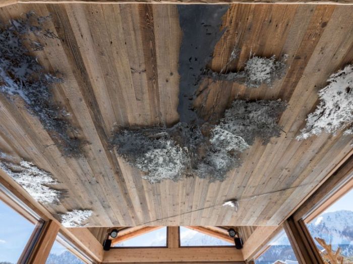 Archisio - Studio Cc - Progetto La grande betulla