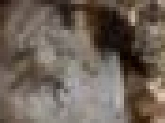 Archisio - Payanini The Stone Brand - Progetto Payanini