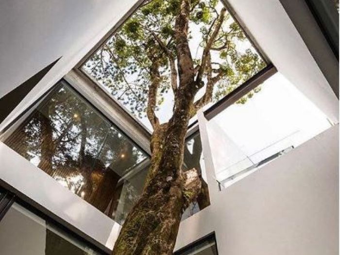 Archisio - Francesco Fiori Architetto - Progetto Architettura