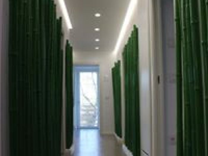 Archisio - Arch Chiara Mirra - Progetto Elisme