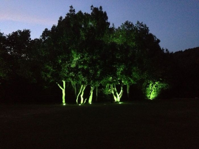 Archisio - Elettro Design srl - Progetto Impianti illuminotecnici