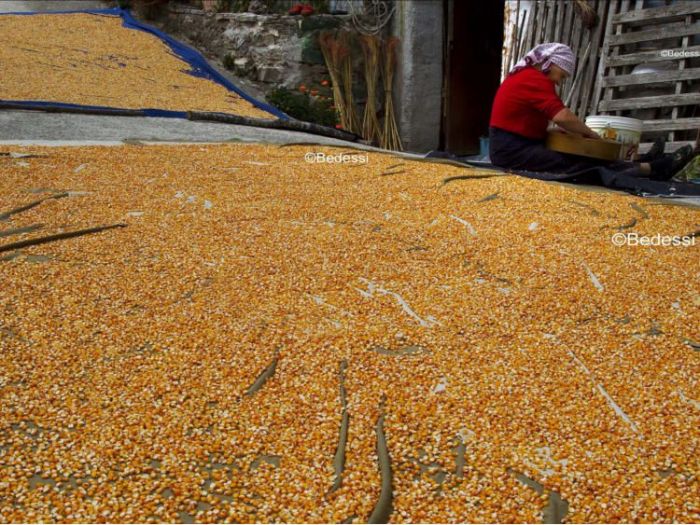 Archisio - Puntofoto Multimedia - Progetto Servizi fotografici