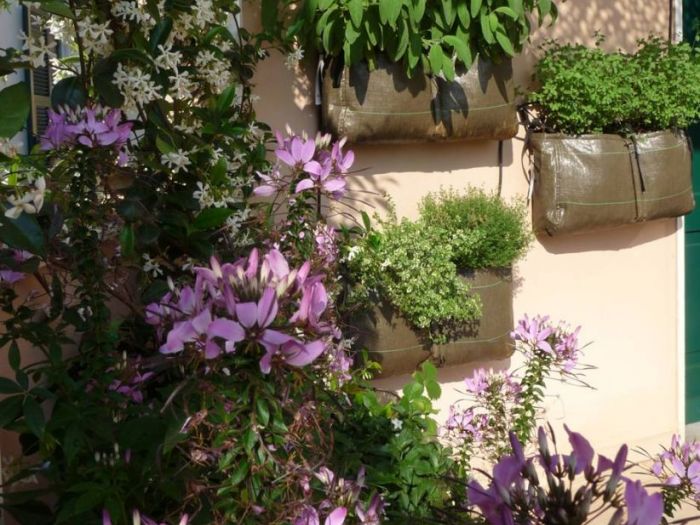 Archisio - Gardenstudio - Progetto Gardenstudio