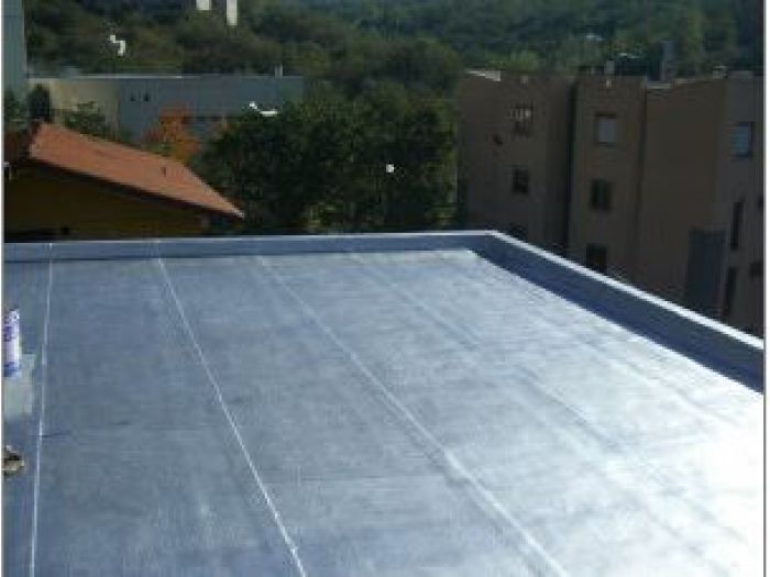 Archisio - Pittore Premolin - Progetto Carte da parati e altro