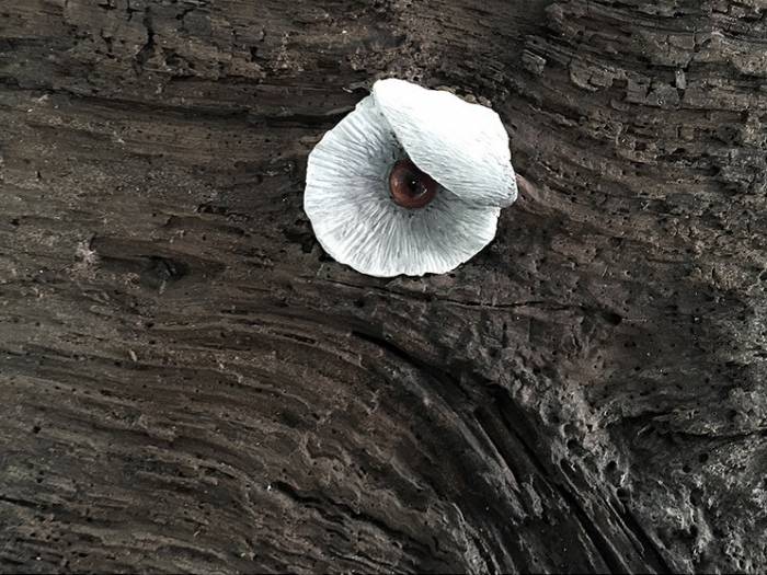 Archisio - Mariolina Fumo - Progetto Nature