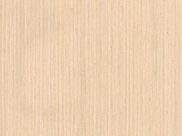 Archisio - Dco - Progetto Moovenatural