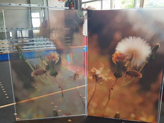 Archisio - Tortoglass - Progetto Vetri disegnati e colorati