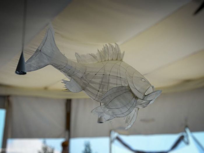 Archisio - Stefano Costantino - Progetto Acquario luminoso allinterno di un ristorante