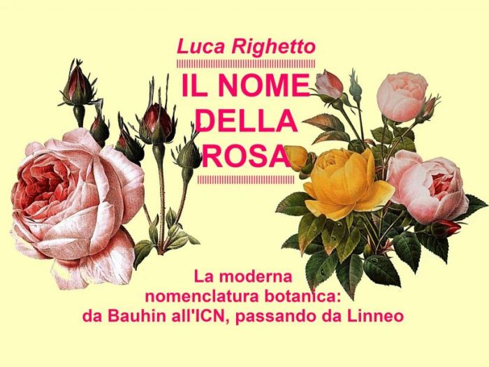 Archisio - Luca Righetto - Progetto Pensieri e considerazioni su piante e giardini Link agli articoli in httpsprogettazione-spazi-verdibusinesssiteutmsourcegmbutmmediumreferral