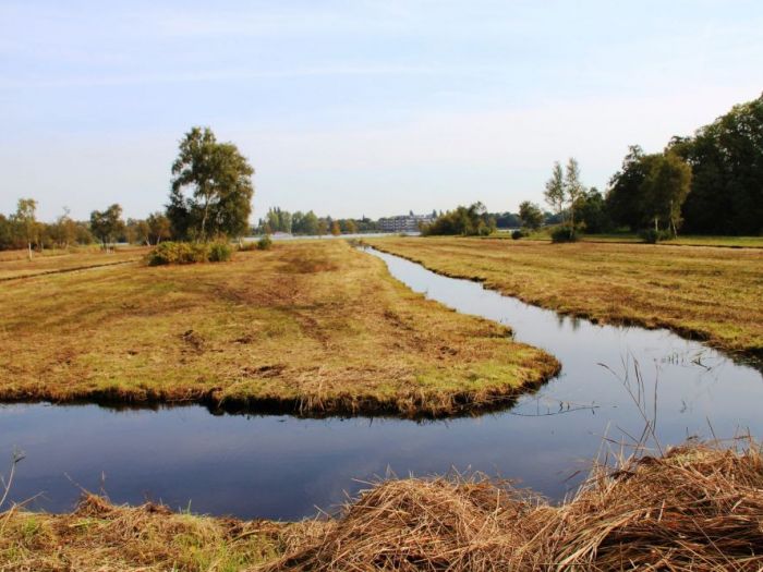 Archisio - Luca Righetto - Progetto Olanda 2017