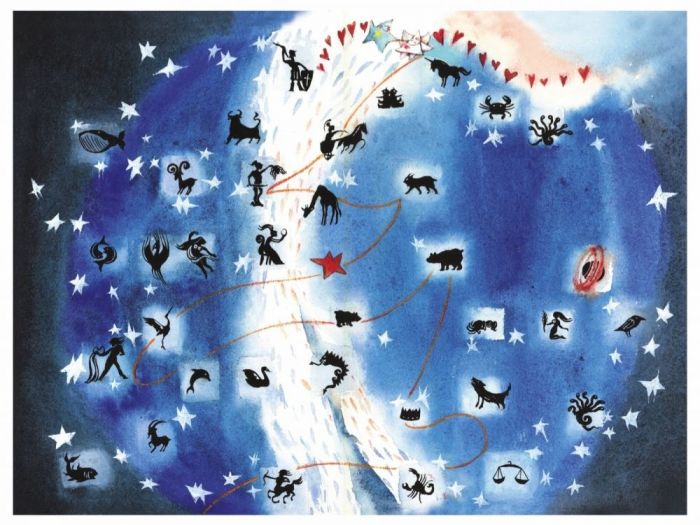 Archisio - Elisa Possenti - Progetto Stella cammina