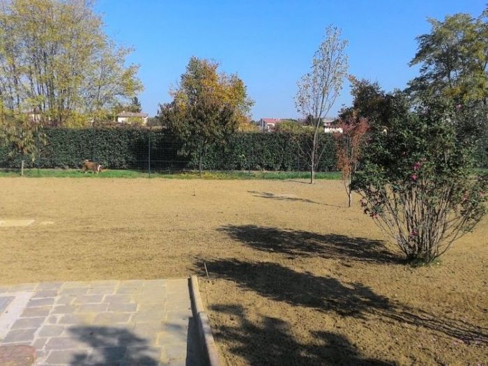 Archisio - Claudio Raiteri Verde Giardino - Progetto Irrigazione rigenerazione pratorigenerazione pratotree climbingisolamento solai