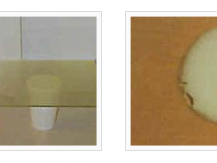 Archisio - Falgnameria Caccia E Carrara - Progetto Vernici