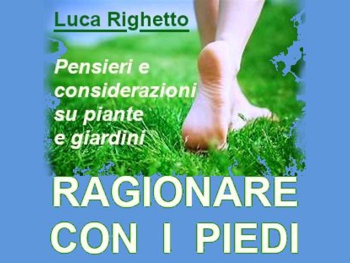 Archisio - Luca Righetto - Progetto Pensieri e considerazioni su piante e giardini Link agli articoli in httpsprogettazione-spazi-verdibusinesssiteutmsourcegmbutmmediumreferral