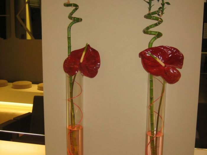 Archisio - Studio Antepost - Progetto Salone di bellezza